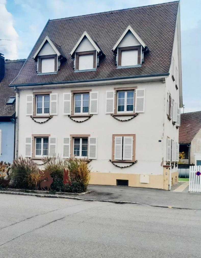 L'Envolee Alsacienne - Magnifique Appartement En Duplex Ostheim Exterior photo